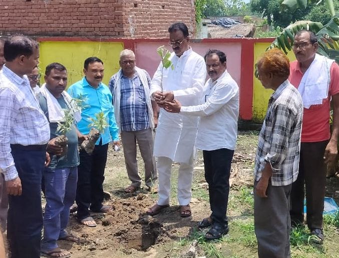 Record made by planting 96.18 lakh saplings, pledge taken for protection