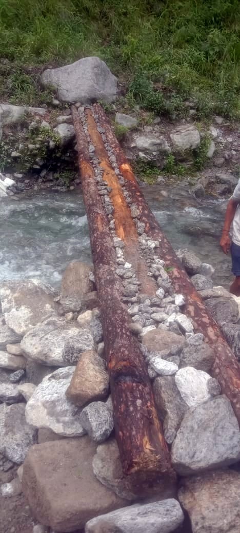 The villagers of Mori have been crossing the river with the help of wooden logs for four years.