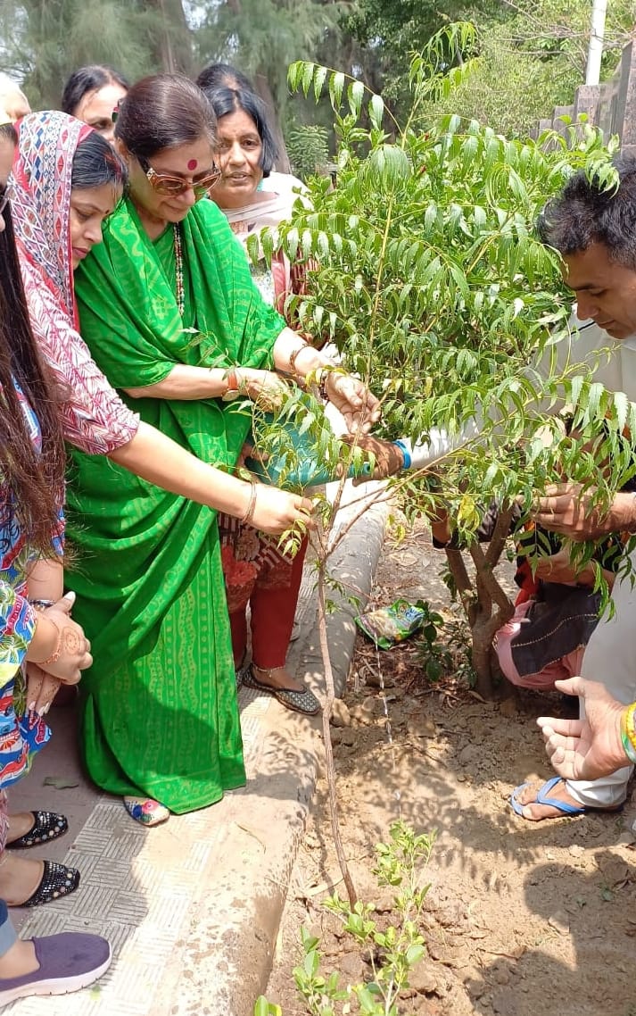 Administration is ignoring the parks: Asha Hooda
