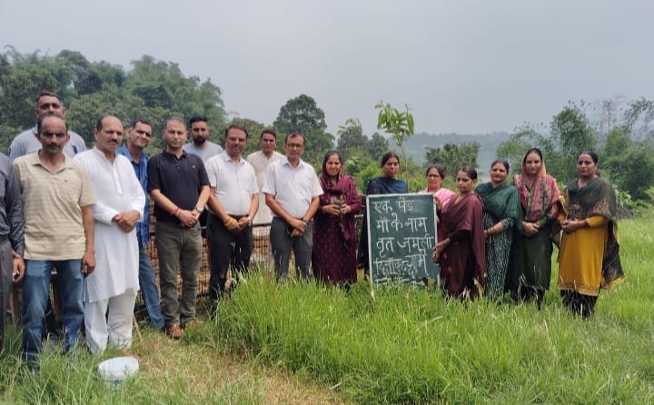 Planting trees is necessary for environmental balance and human life: SDM