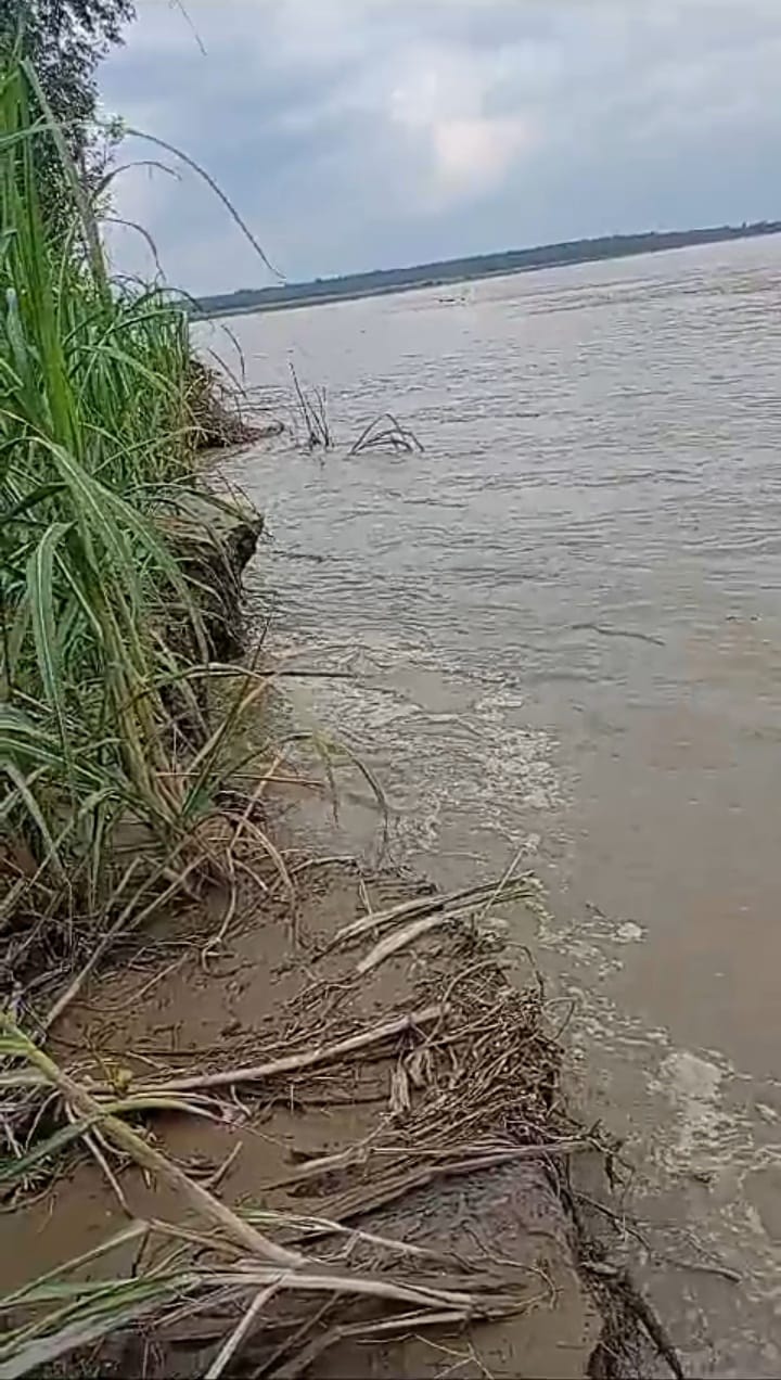 Water released from Vanbasa Barrage, water level of Sharda increased