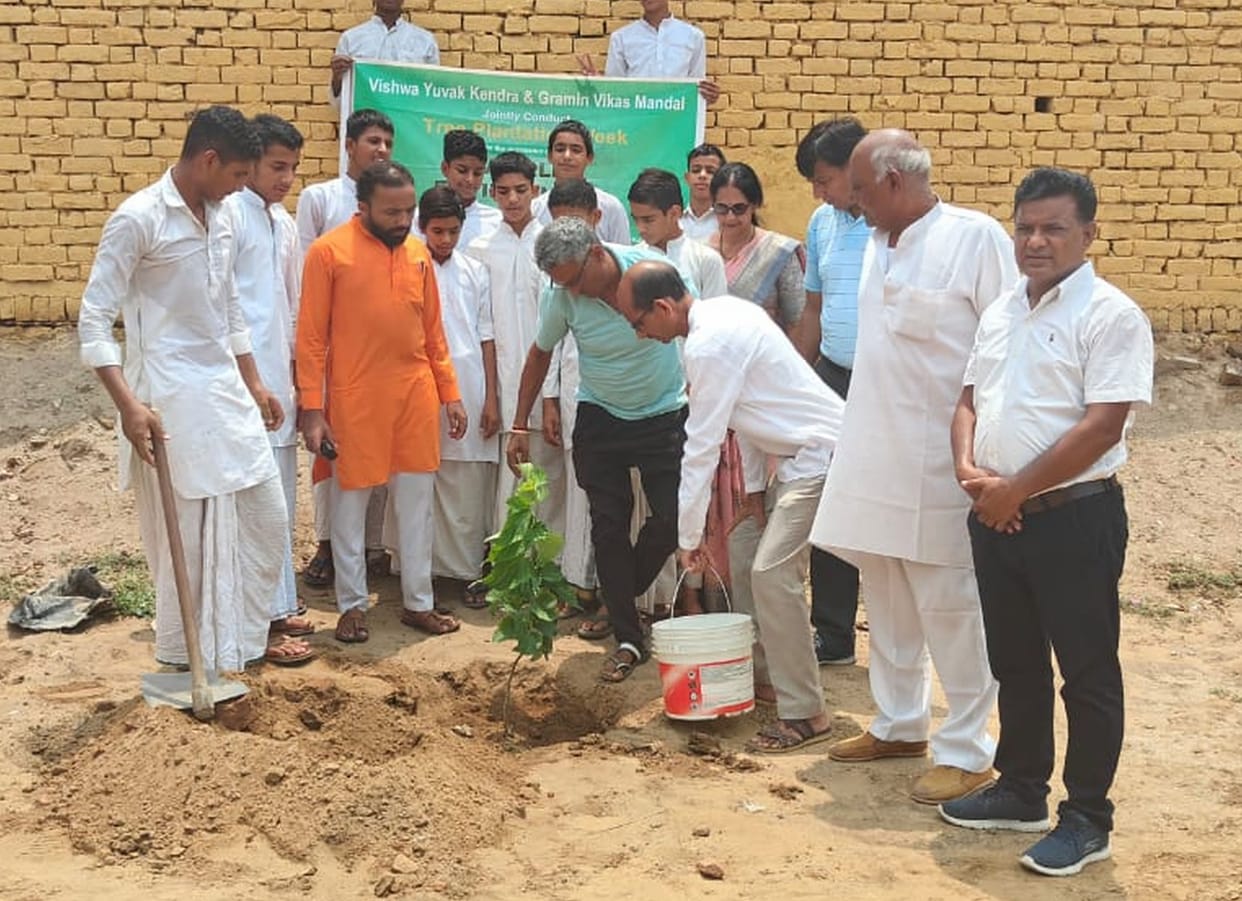Planted 500 saplings and distributed a thousand