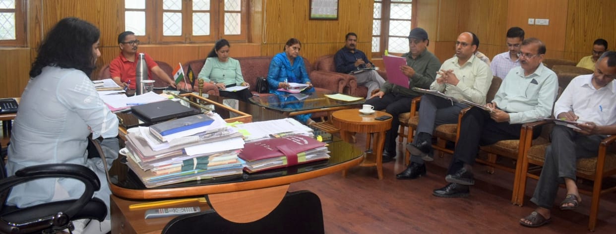 Red Cross will spend Rs 79.33 lakh on the needy: Torul
