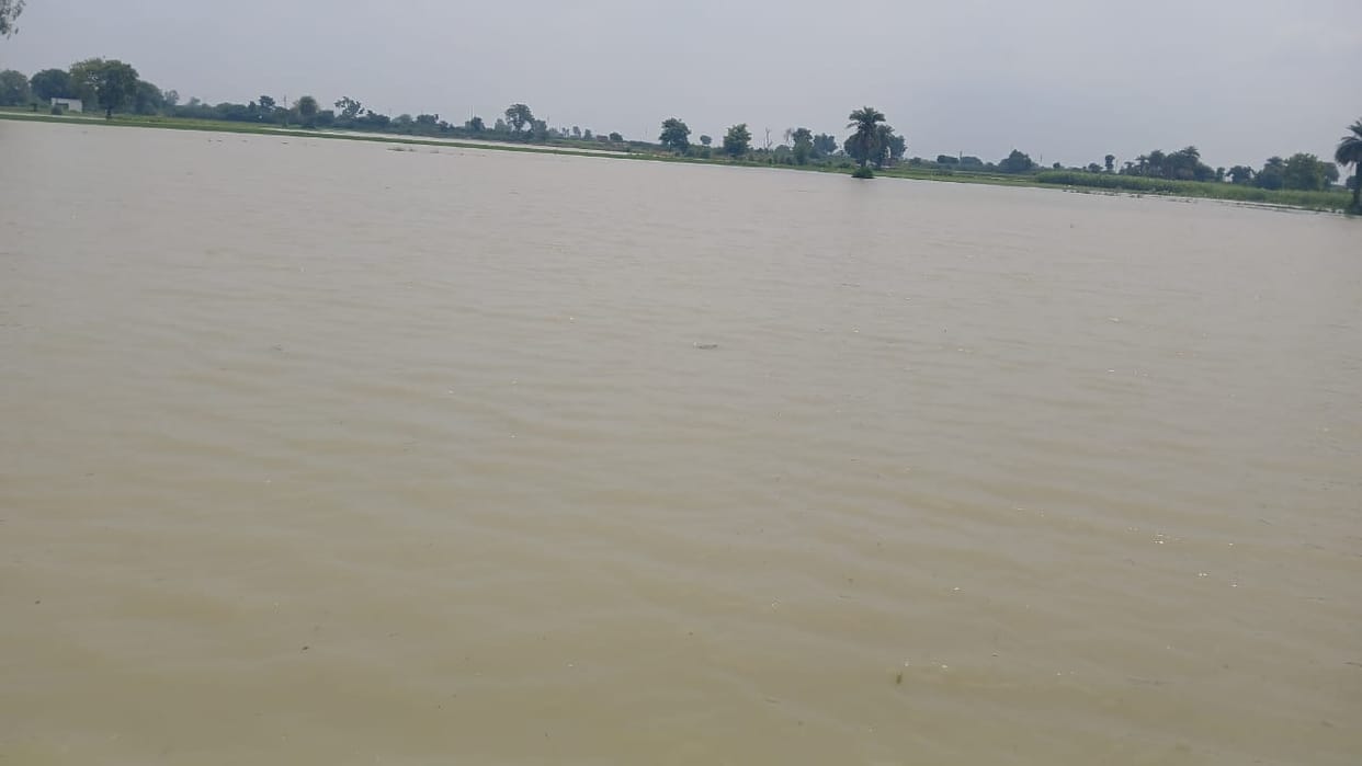 Hundreds of acres of crops submerged due to cutting of canal track