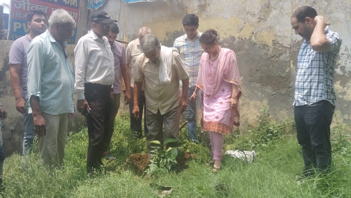 Saplings planted in DPDO office premises