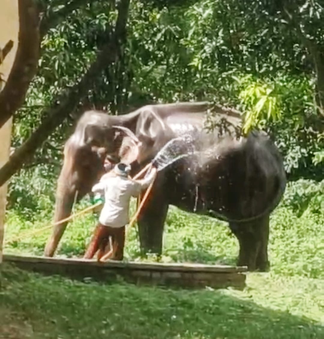 Expectation: Eco tourism will get a boost in Dudhwa