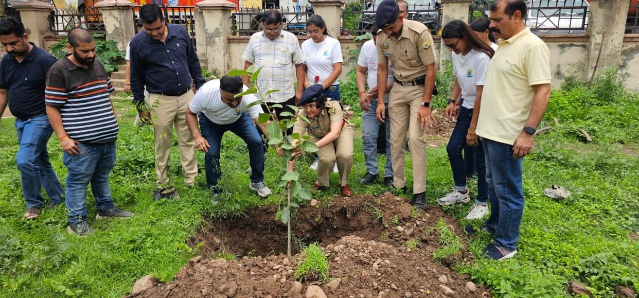 Social and industrial organizations planted 111 saplings