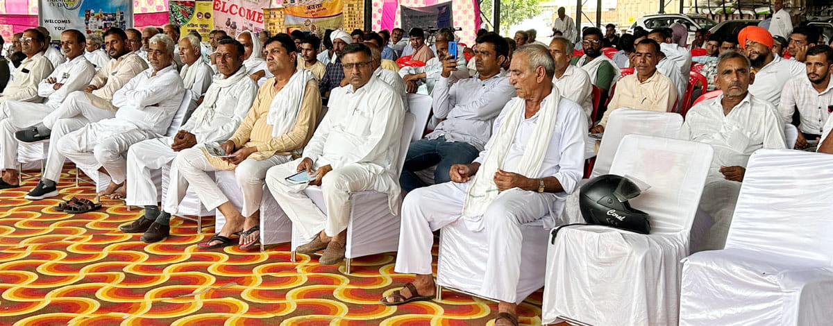 Get control over pink bollworm by removing branches of softwood crop from the field: Dr. Jain