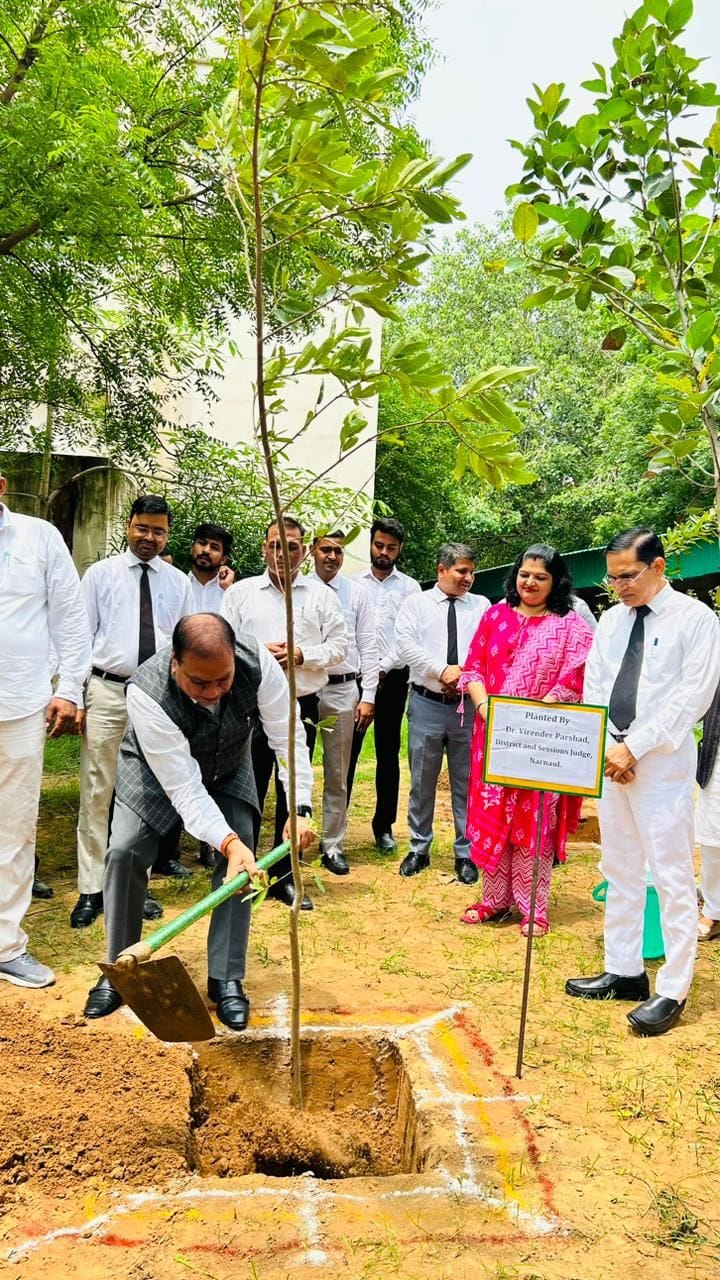 Judges and advocates planted saplings