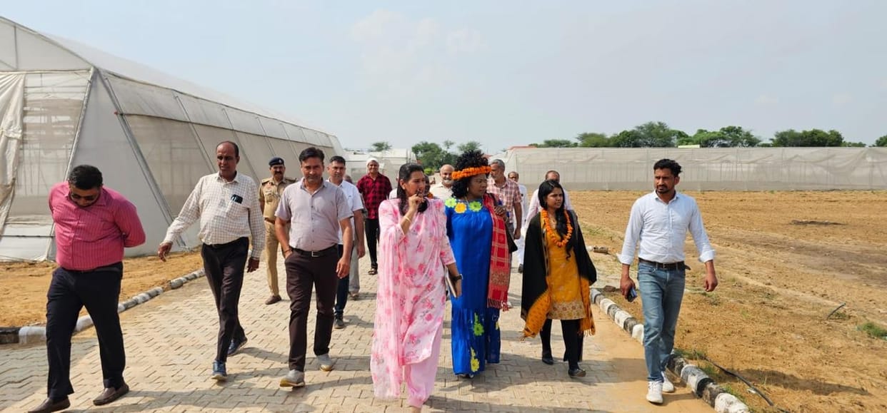 African delegation liked Haryana's millet, also got information about farming and products