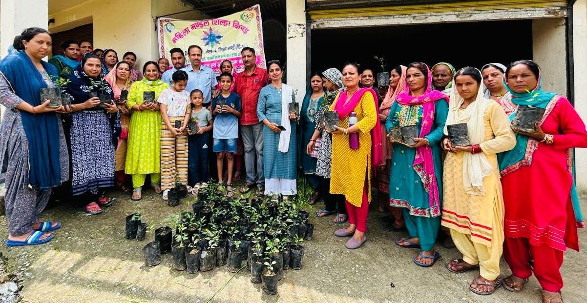 150 saplings of lemon species distributed in Shilha Kipar of Nela Ward