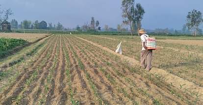 Natural farming will get boost with 270 crore in UP crops grown on rivers edge