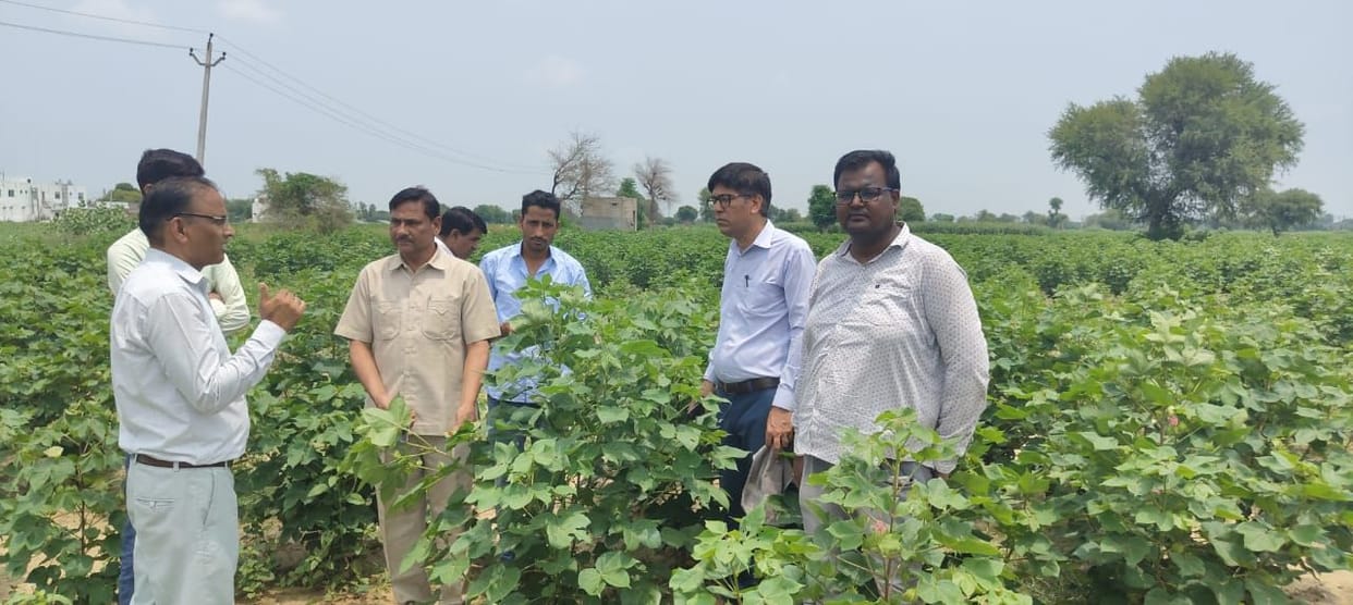 Infestation of Red Hairy Caterpillar in Kharif crops, Faridabad team visited