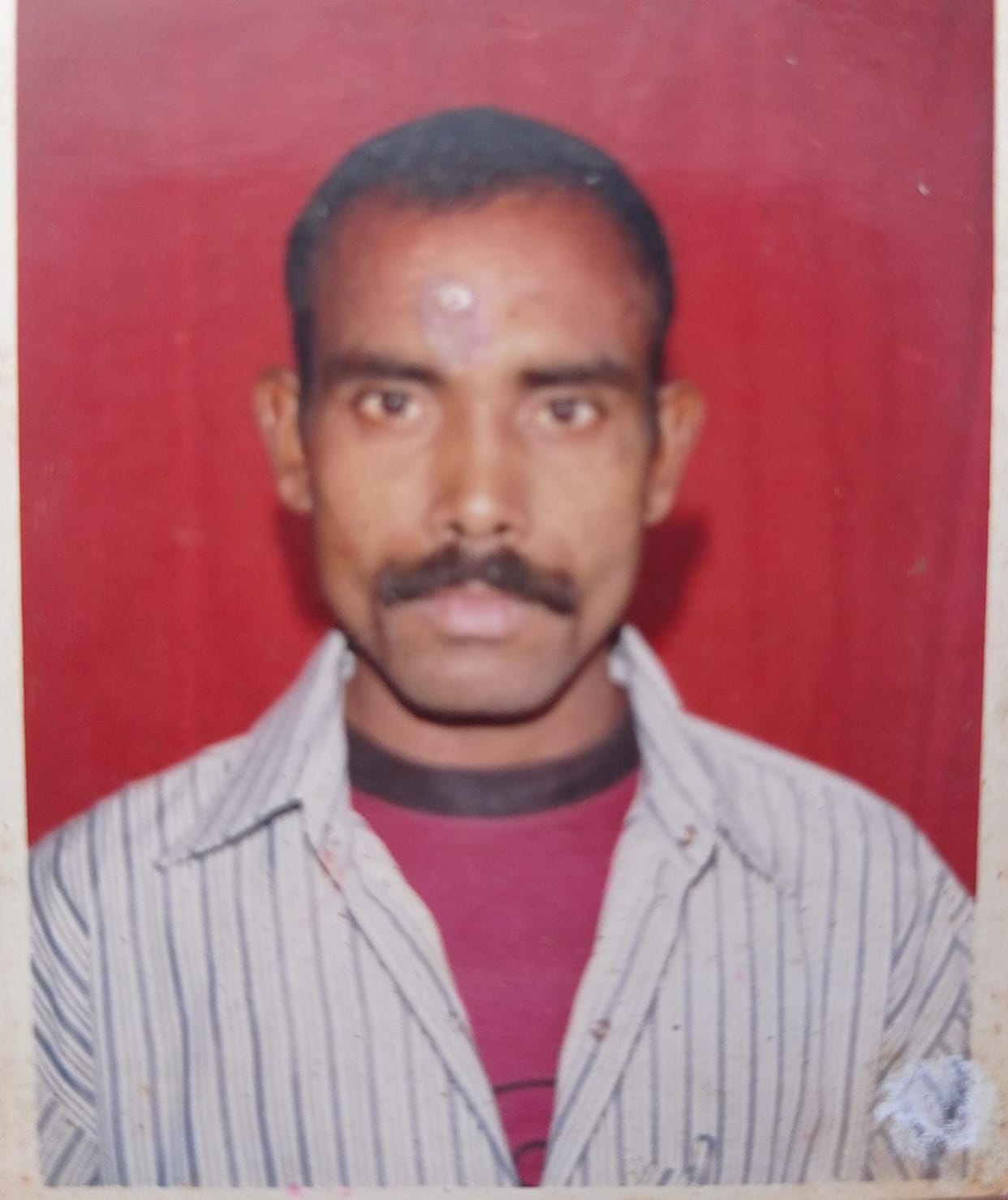Dead body of a man released from jail found hanging from a tree