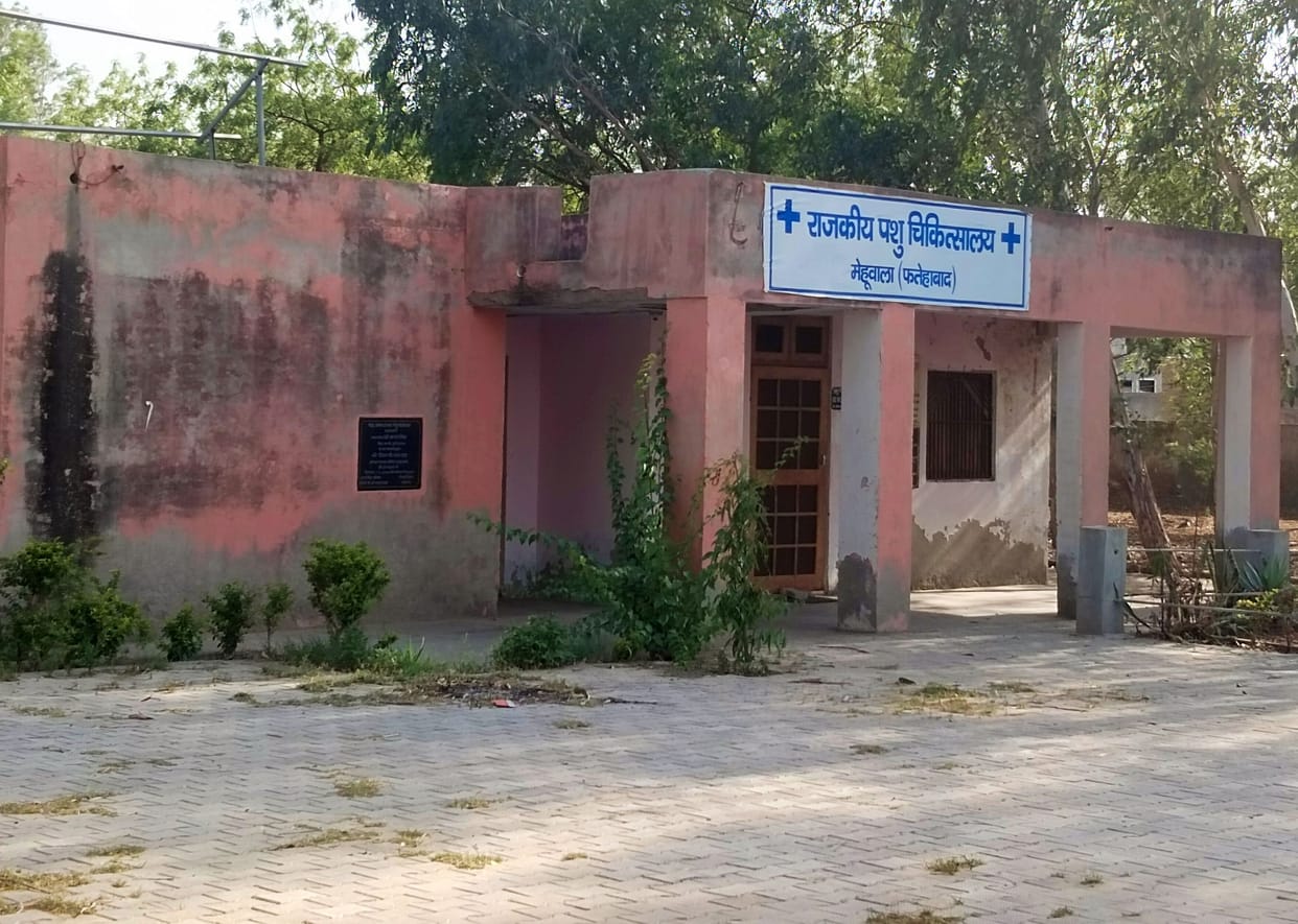 Animals can be treated on time, 13 doctors found
