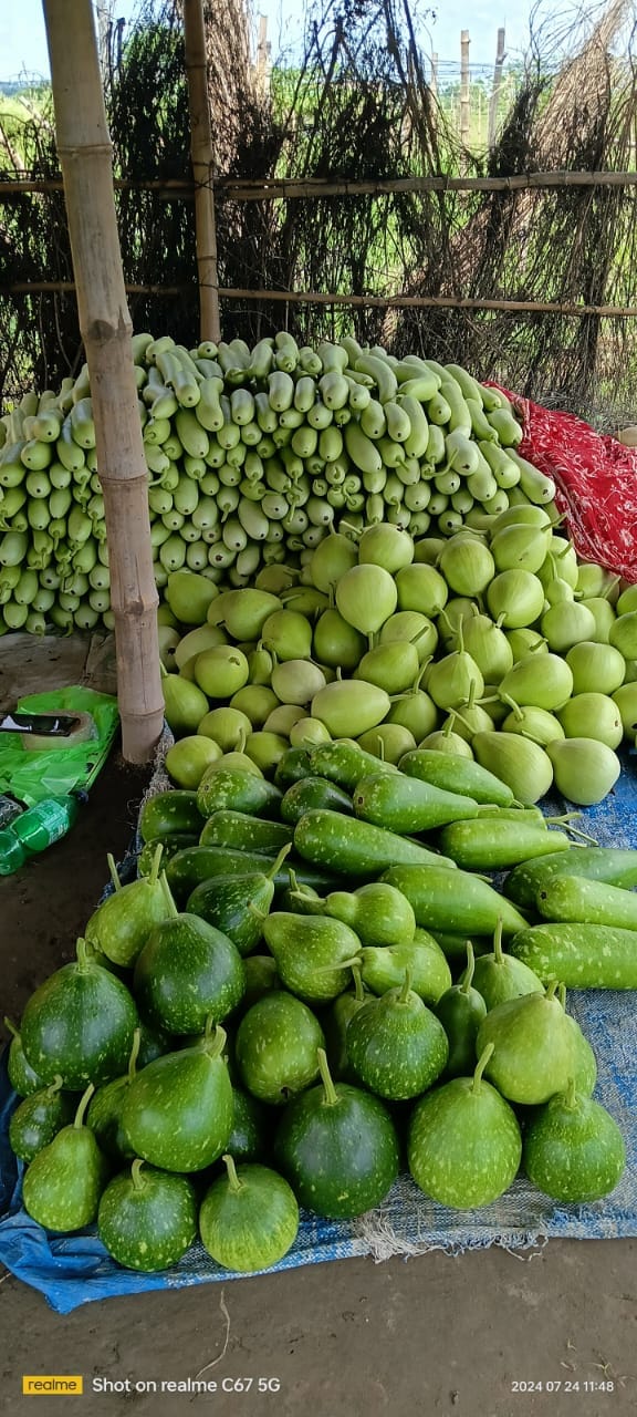 The produce of natural farming in Terai region reaches Delhi