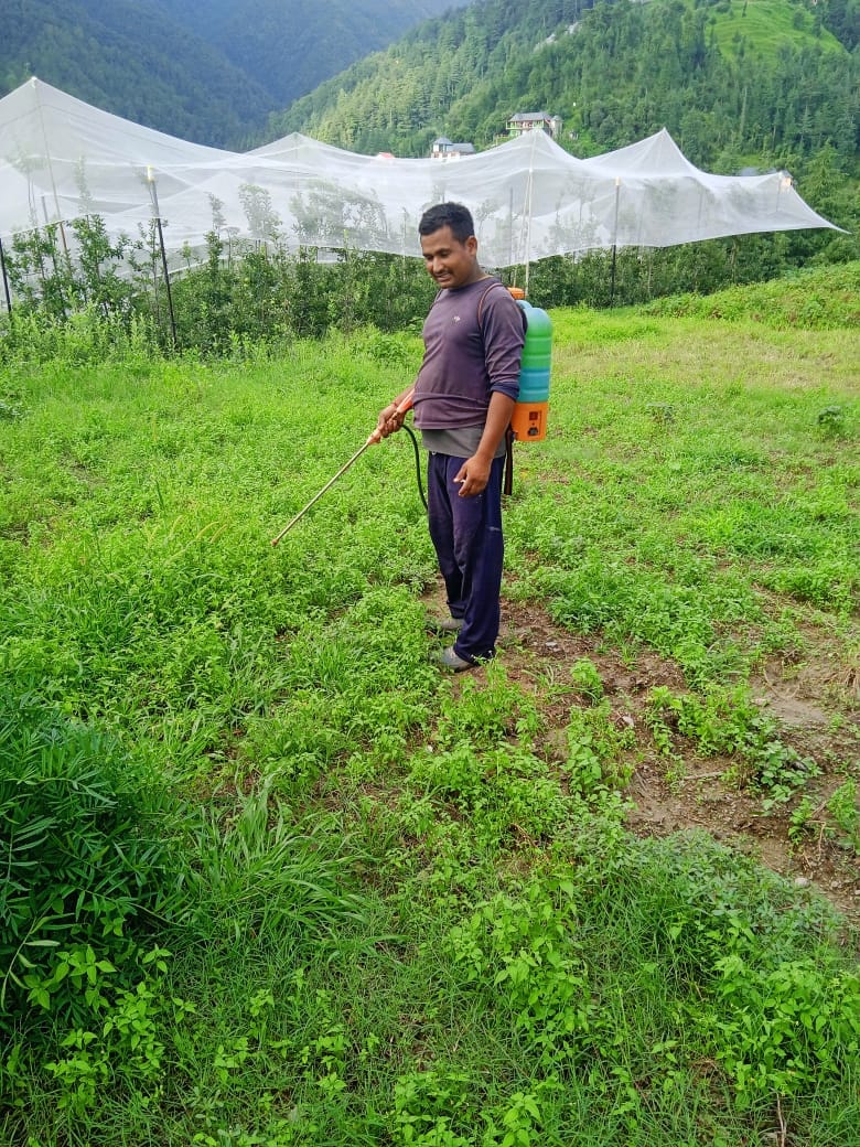Farmers gathered in the fields for sowing peas in Nachan and Siraj