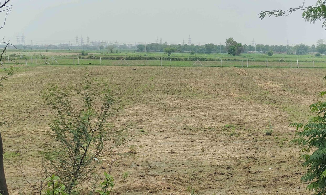 Rainfall has reduced...Farmers are worried about how to transplant paddy.