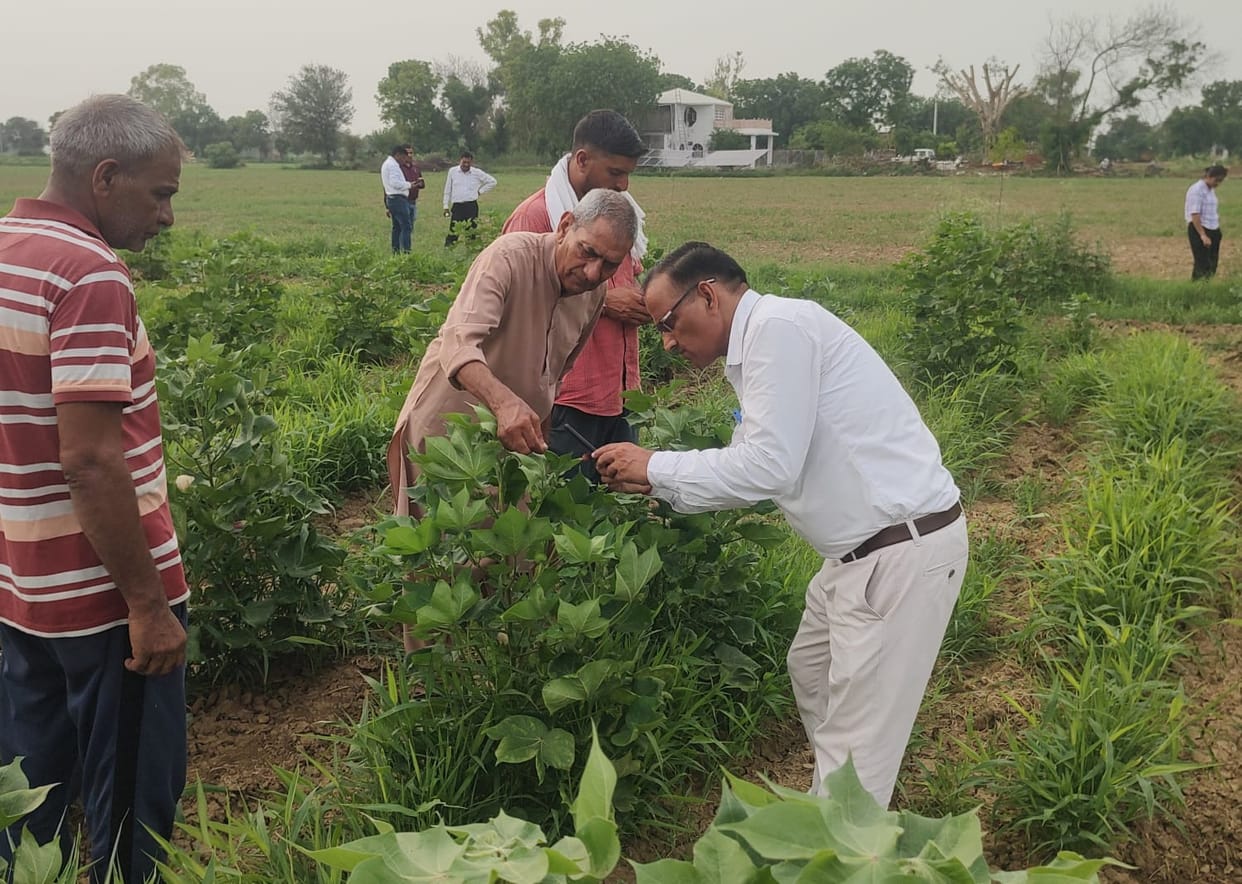 Birds help in pest management