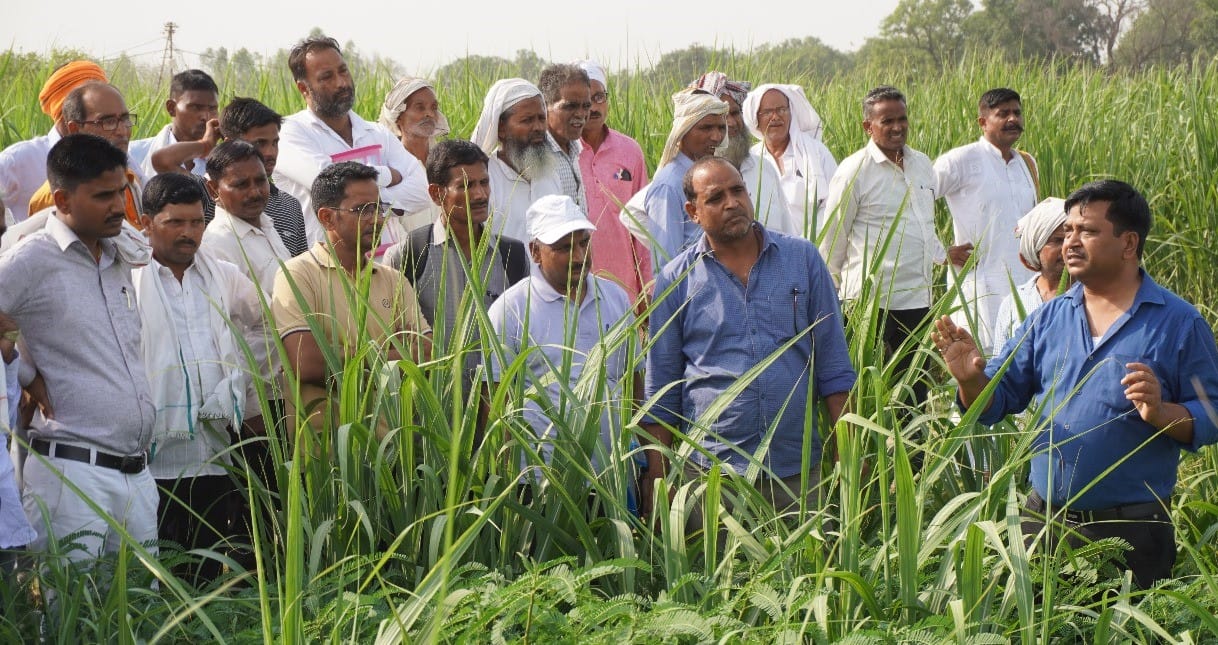 9225 sugarcane farmers trained since February