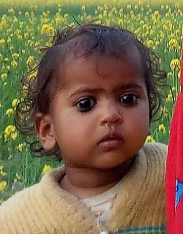A wolf took away the child sleeping with his mother, the body was found in the field