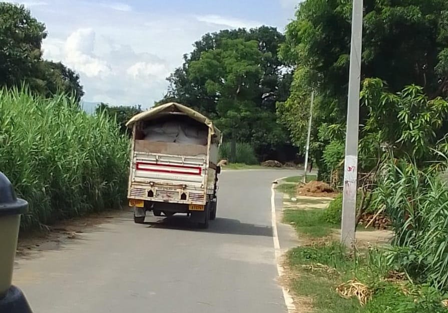 Rice is reaching across the border every day by pickup