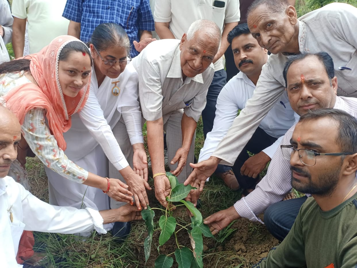 Trees and plants keep the environment pure: Kishori Lal