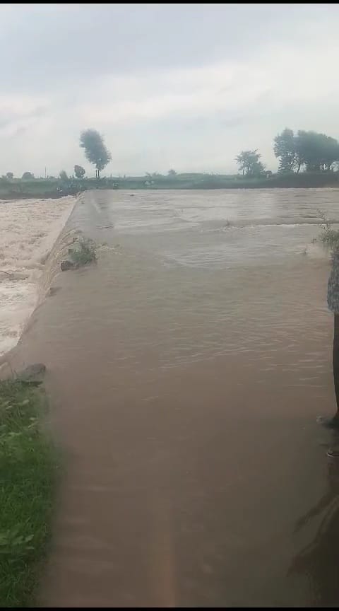 Rivers in spate due to day long rain in Tendukheda, passenger buses stopped due to sinking of bridge