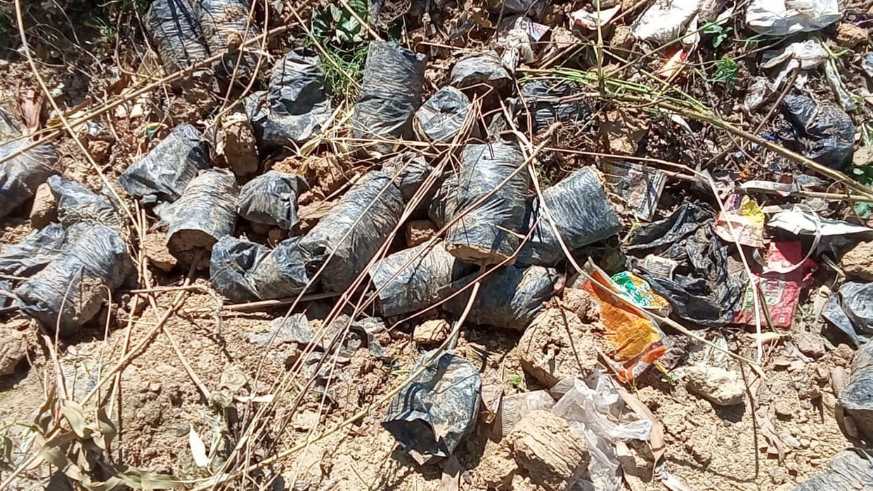 Saplings thrown on the roadside instead of planting