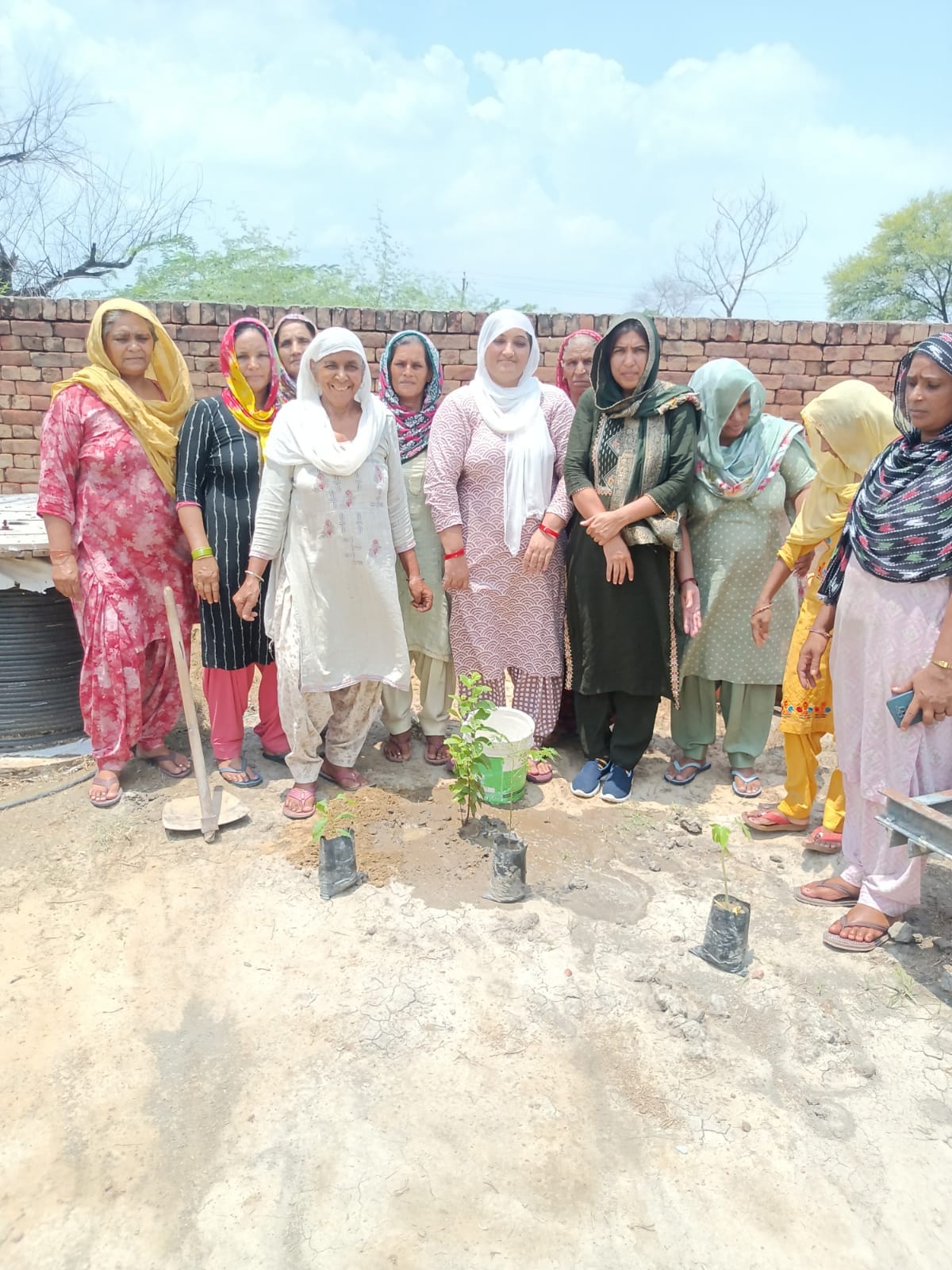 Women planted saplings in Jahangirpur village