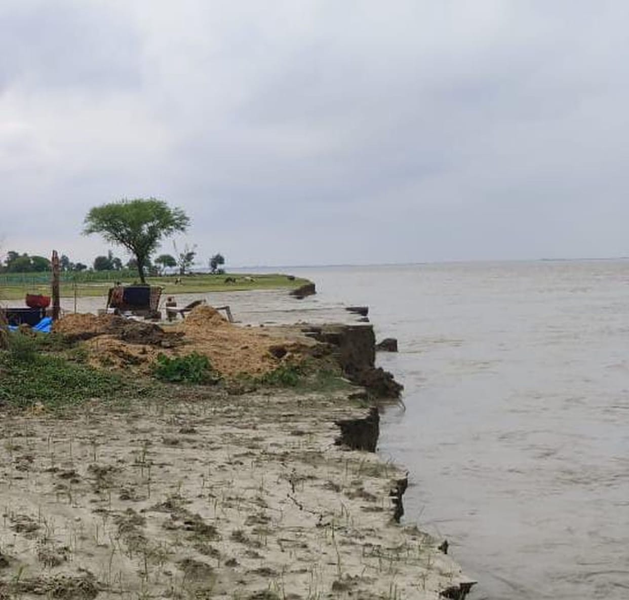 Five houses came under the grip of erosion and ten bighas of land got submerged in Saryu