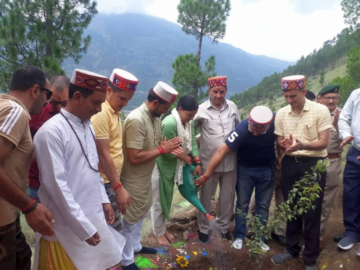 Van Mahotsav celebrated by planting saplings in Jiya's Phetawan