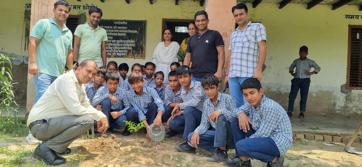 Planted trees in secondary school