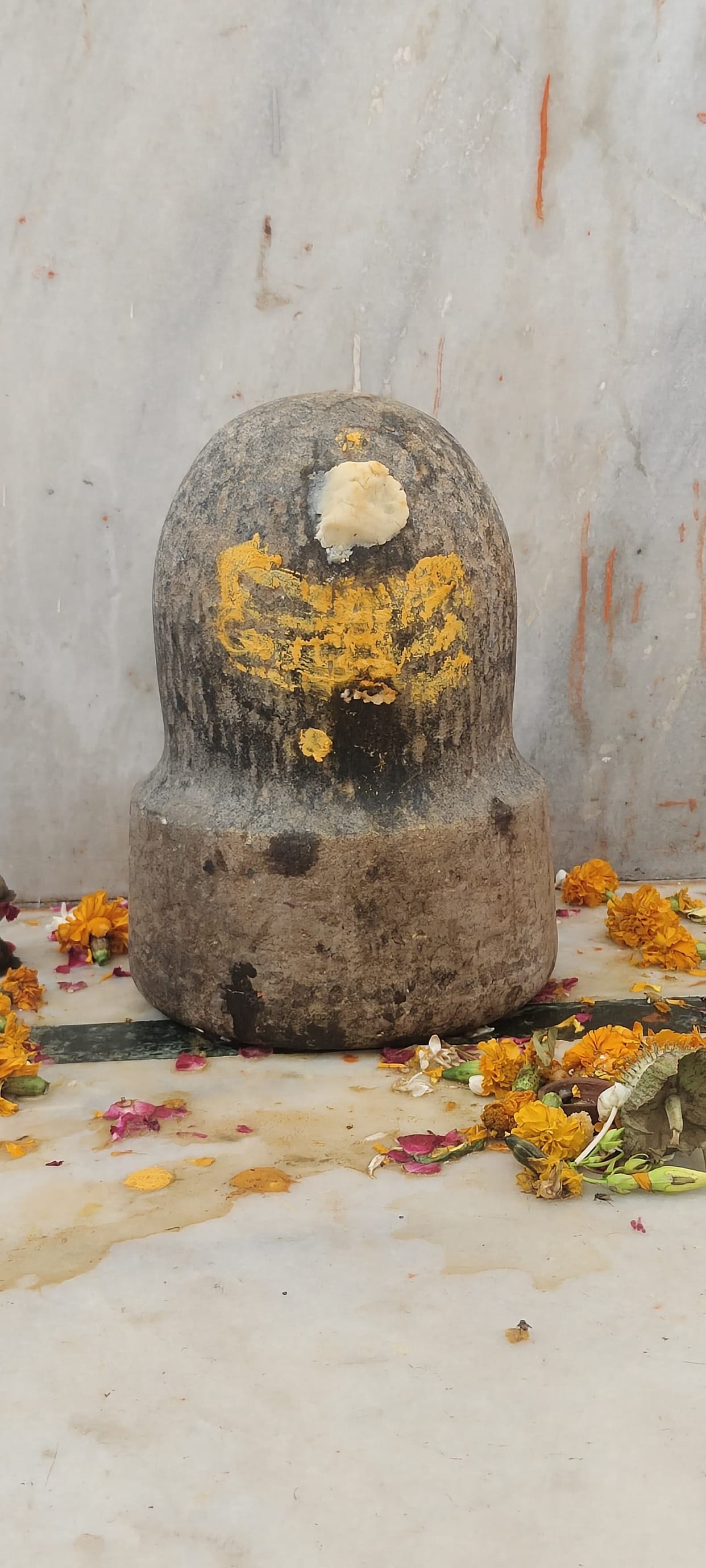Shivalinga shaped stone found in excavation