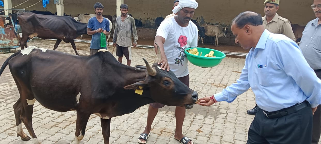 Waterlogging found during inspection, instructions given to plot owner to get it filledWaterlogging found during inspection, instructions given to plot owner to get it filled