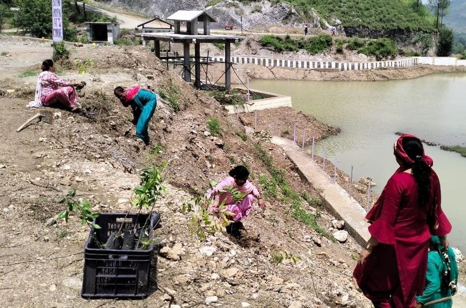 Near dam in Dhyanpur village

150 plants planted on vacant land