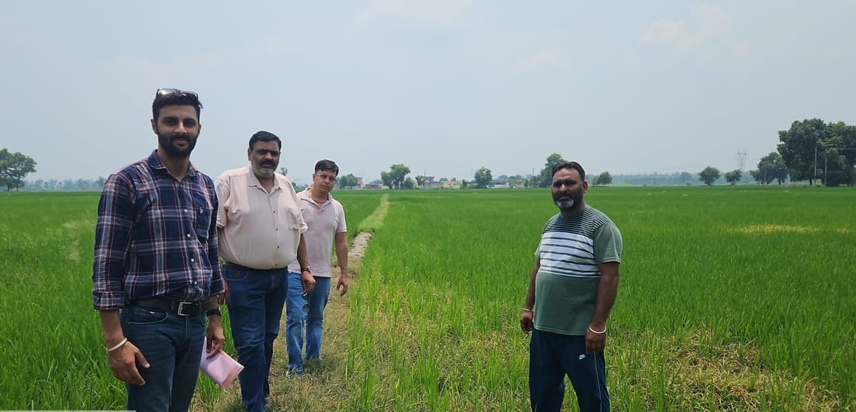 Verification done by visiting the fields of farmers doing direct sowing of paddy
