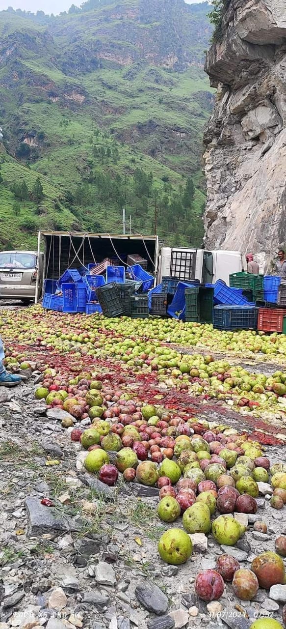 Jeep filled with apples, pears and plums crashes, three injured including driver