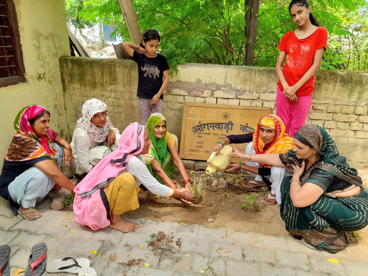 Saplings planted on the sacrifice day of Udham Singh