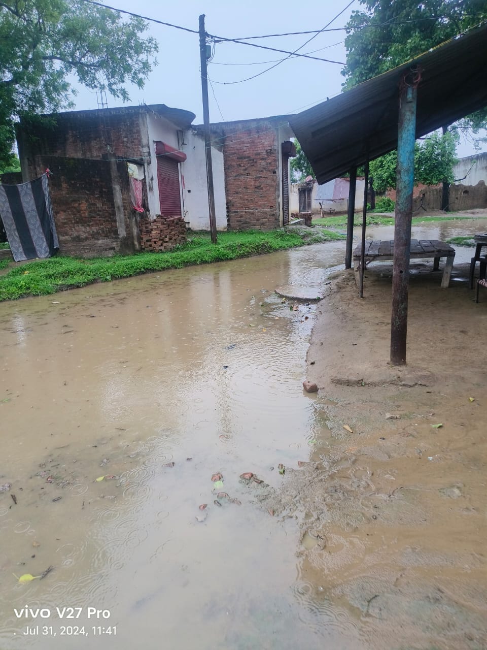 Rain: Trees fell, power supply disrupted - waterlogging
