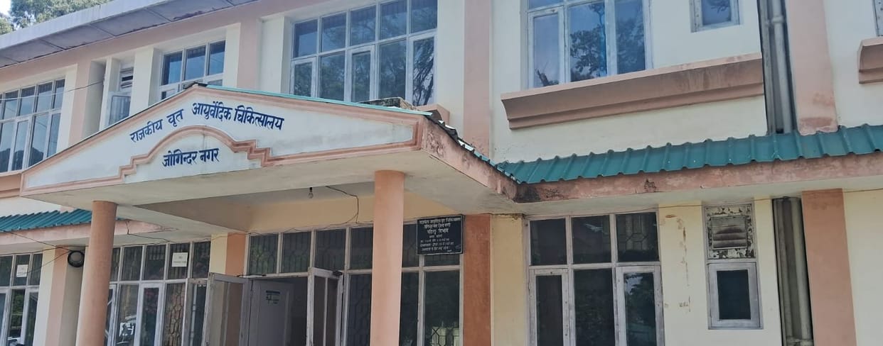 Jaundice patients in Jogindernagar will now be treated with Ayurvedic method also