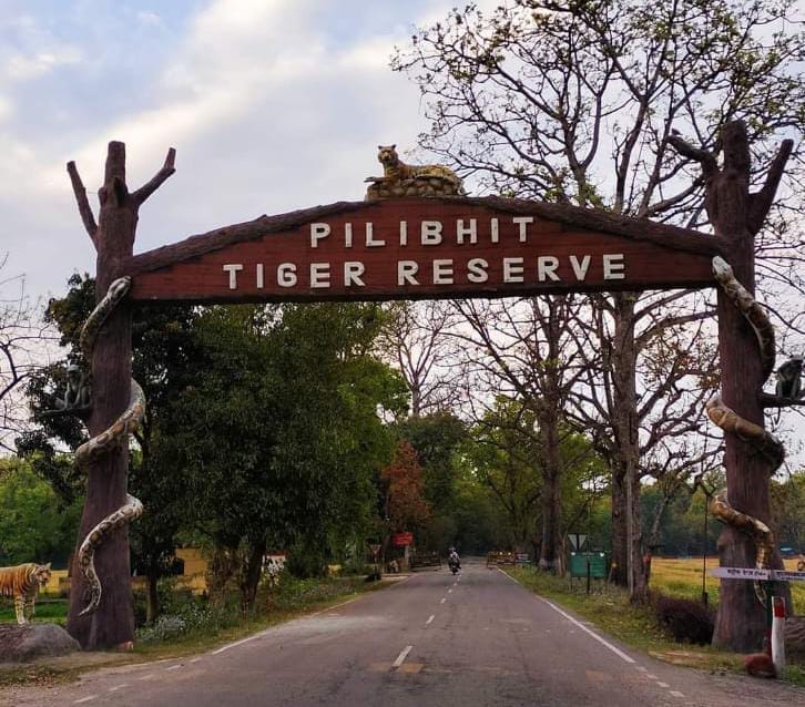 Illegal occupation of 1500 hectares of PTR land, tigers and elephants wandering out
