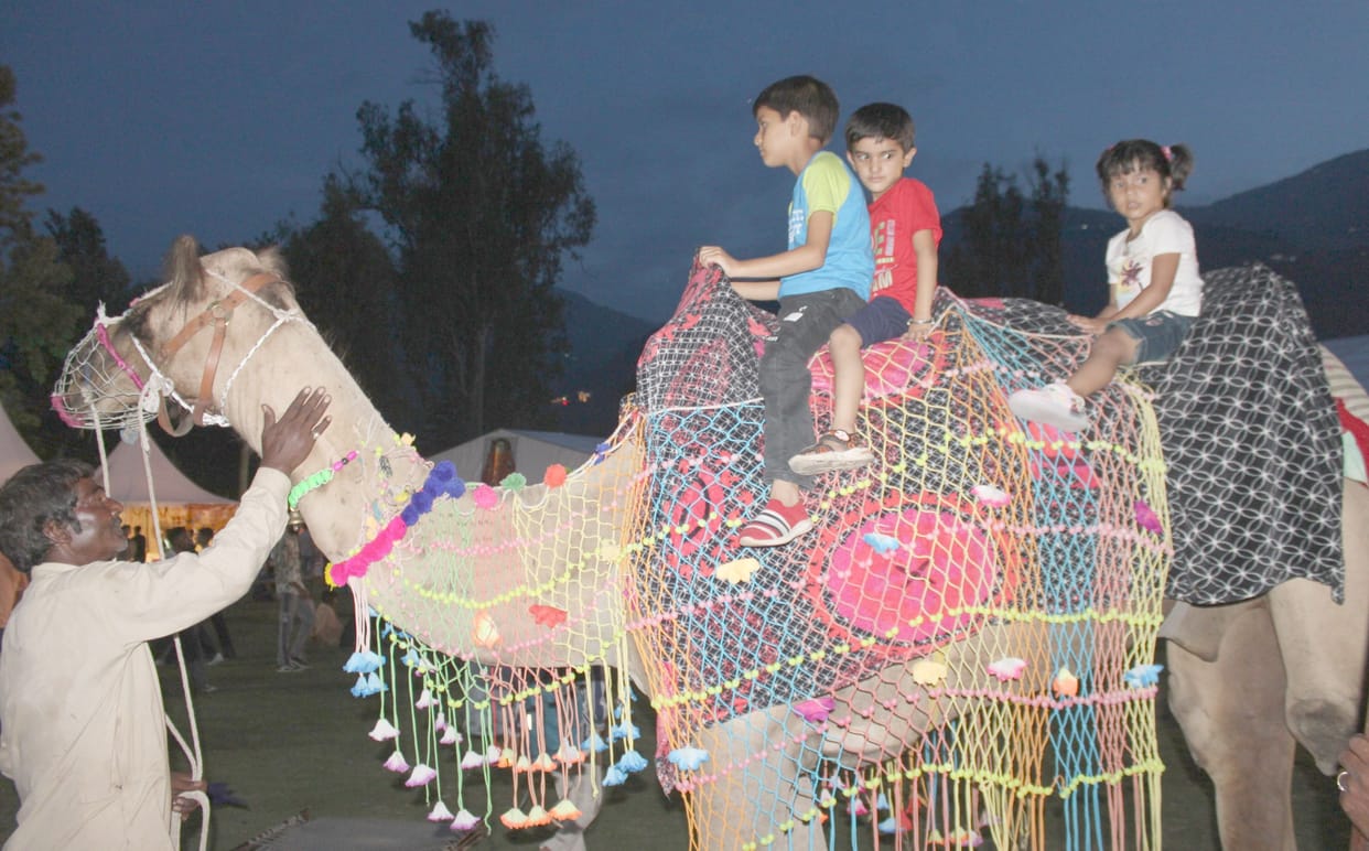 First a lot of shopping, then a camel ride