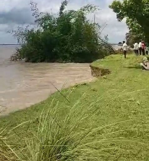Deforestation intensified in Madarhawa...trees swept away in the stream