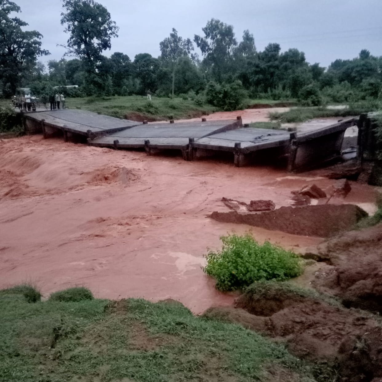 Shahdol News: The bridge of Jharp river collapsed as soon as the flood came in the first rain