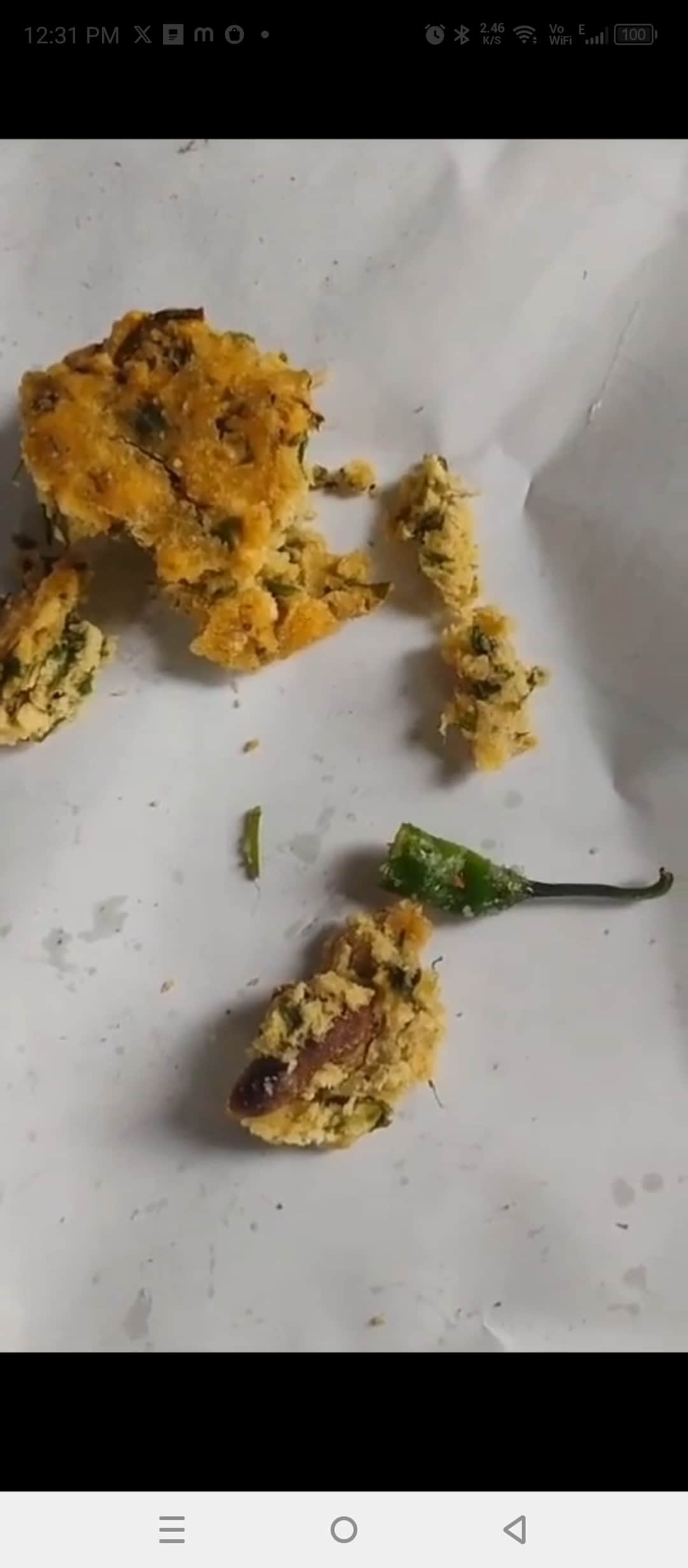 पालक बड़े के अंदर फ्राय हुई छिपकली