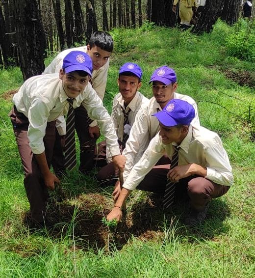 Planting fruit and medicinal plants

Gave the message of saving the environment