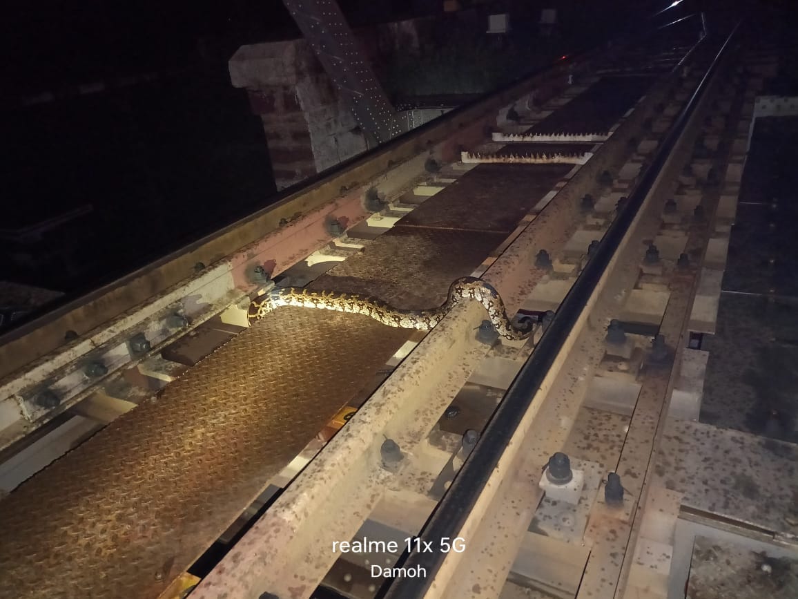 damoh Underbridge filled with water, poisonous snakes camped there, bike rider bitten