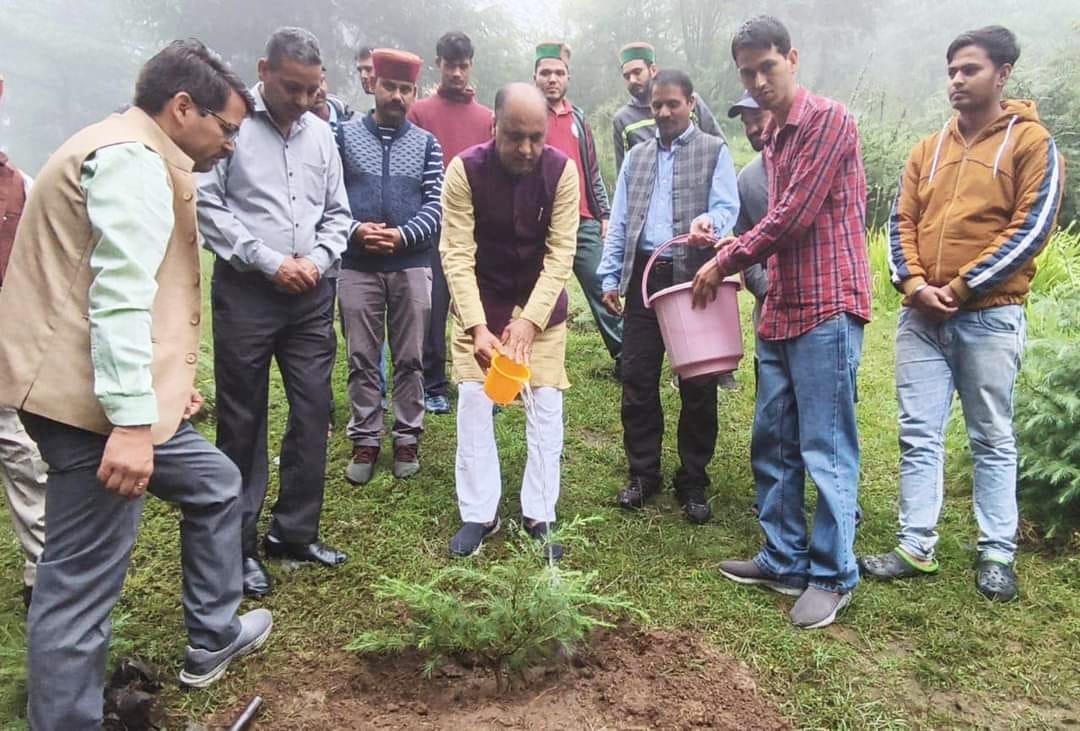 BJP will plant 50-50 saplings at every booth: Jairam Thakur