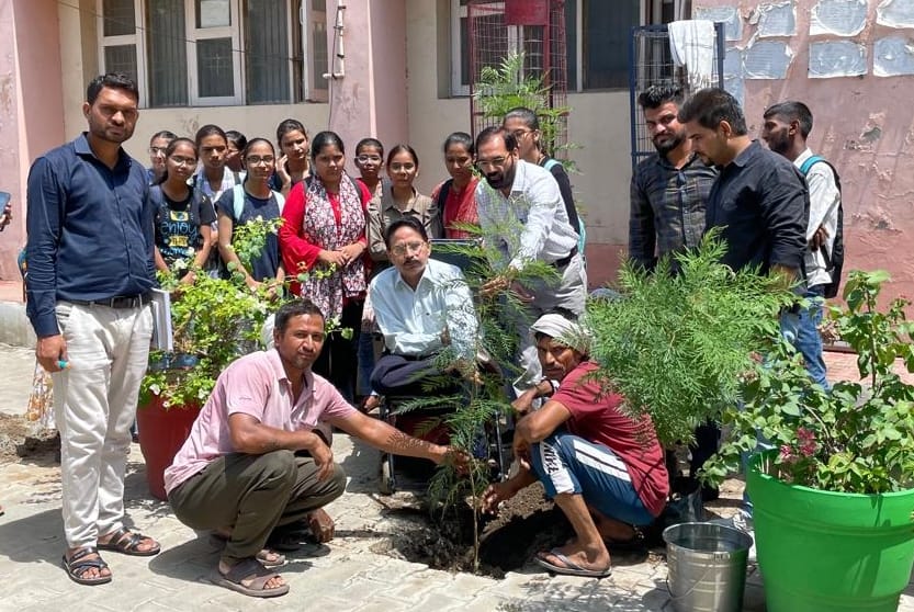 Nekiram College planted trees under Green Campus, Green Haryana